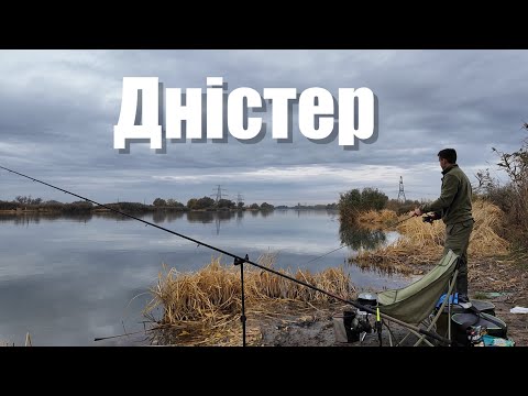 Видео: Рибачу на річці. ЖОР риби на Дністрі. Огляд на Канадський ІРП
