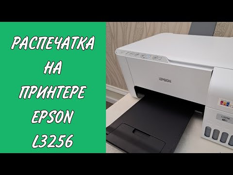 Видео: Принтер Epson Eco Tank L3256. Принтер ТРИ В ОДНОМ