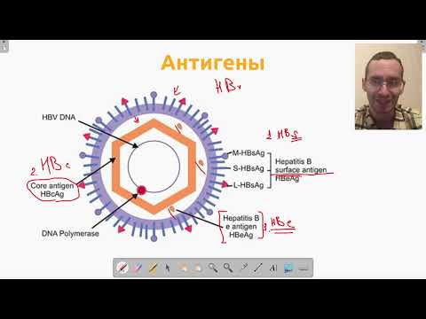 Видео: Серологическая диагностика гепатита В