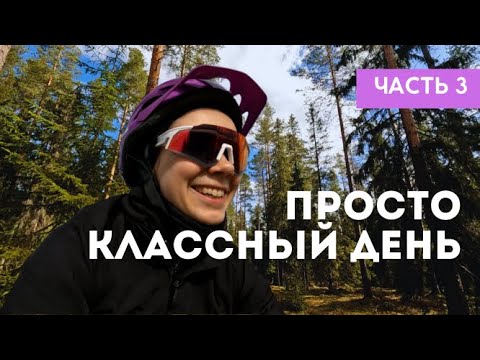 Видео: На велосипеде по живописным лесам / Ленобласть – день 3