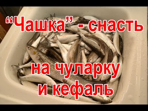 Видео: Чашка - снасть для ловли чуларки и кефали