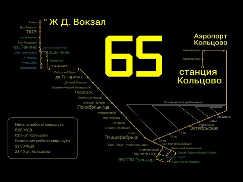 Видео: Ночной проезд автобуса по Ново-Кольцовскому