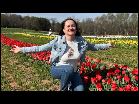 Видео: Аня из Майами is live!