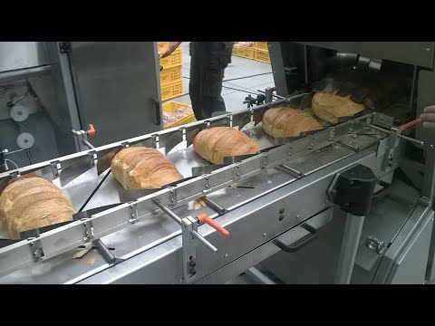 Видео: Нарезка всякого с нейропеснями про дробовики и грибы