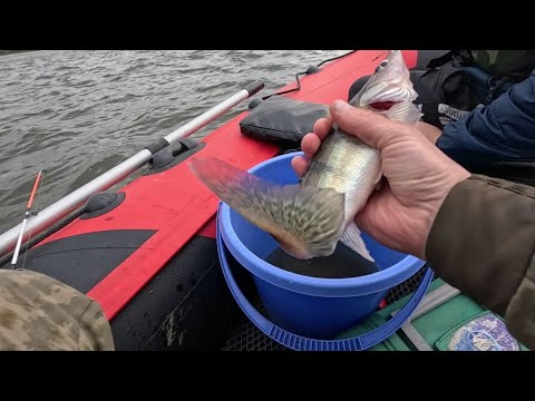Видео: Рыбалка на оке с лодки в отвес!