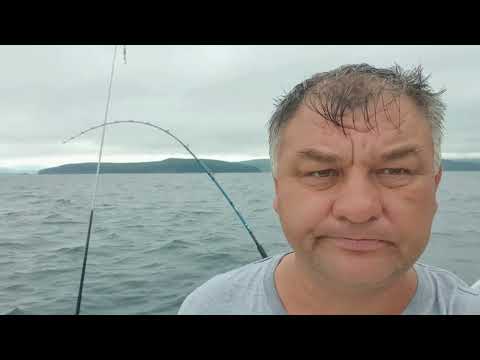 Видео: Сима - мой рекорд. Троллинг - это сказка.