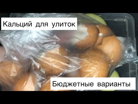 Видео: Кальций для улиток|Голубая глина для ахатин|Бюджетные источники кальция