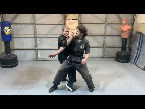 Видео: Техника Кэмпо: Доминирование в кругах | Джейми Сибрук