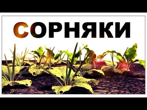 Видео: Галилео. Сорняки