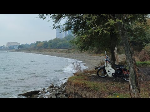 Видео:  Leaf fall ride🍂🍁Листопад райд. Владивосток 
