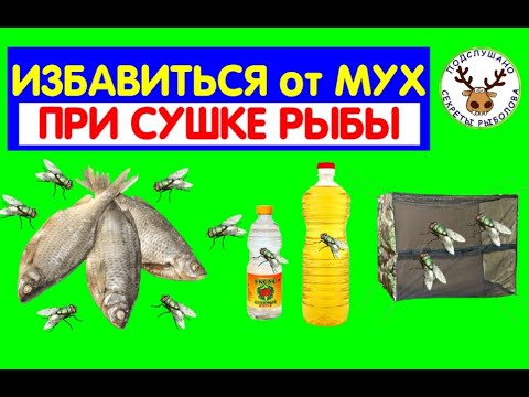 Видео: САМЫЙ ВЕРНЫЙ СПОСОБ ИЗБАВИТЬСЯ ОТ МУХ ПРИ СУШКЕ РЫБЫ 👍 ПЕРЕПРОБОВАЛ РАЗНЫЕ - ОСТАНОВИЛСЯ НА ОДНОМ