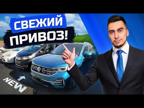 Видео: Что привезти от 555 000 рублей? Цены на авто🔥Тойота, Рендж Ровер, Хонда, Лексус, Фольксваген, Сузуки