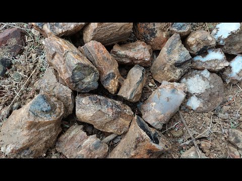 Видео: Возвращаемся в Вуд-Хилл: я нашел зону окаменевших ветвей, огромный агатовый папоротник и выкопал ...