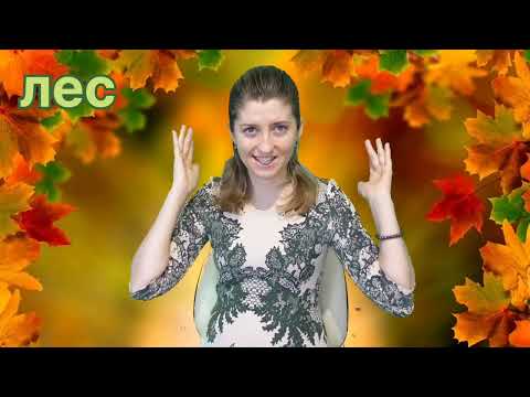 Видео: Учим жестовый язык в интересном формате.