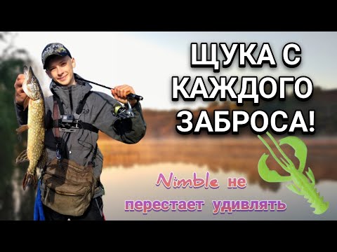 Видео: Щука с каждого заброса! Раздача на Crazy Fish Nimble