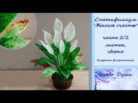 Видео: Спатифиллум из бисера ч.2. Женское счастье. Цветы из бисера. Бисерная флористика. DIY