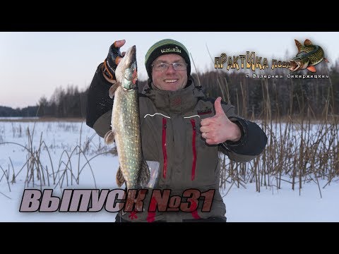 Видео: Балансирная ловля щуки. Практика ловли с Валерием Сикиржицким. Выпуск 31