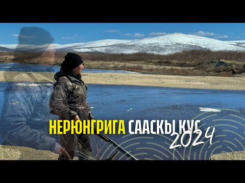 Видео: Нерюнгрига Сааскы булт 2024 |