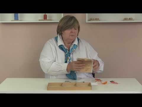 Видео: Монтессори-материал «Сортировка на три позиции звука» (№4, МИМП)