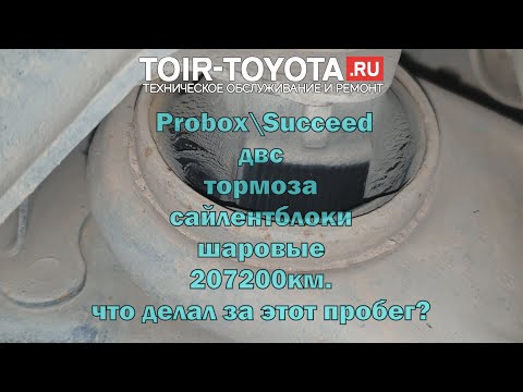 Видео: Probox\Succeed 15г.в. 1.5 4WD\207т.км.\Что менял?\ДВС\Сайлентблоки\Шаровые\Шприцовка\Тормоза.