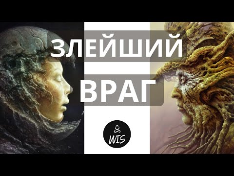 Видео: Что Такое Чувство Собственной Важности?  | Ключевая Идея Философии Карлоса Кастанеды | WIS