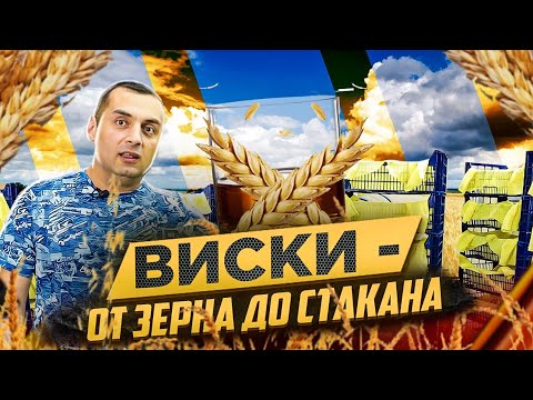 Видео: ВИСКИ - от зерна до стакана! часть1(ПРОРАЩИВАНИЕ СОЛОДА)