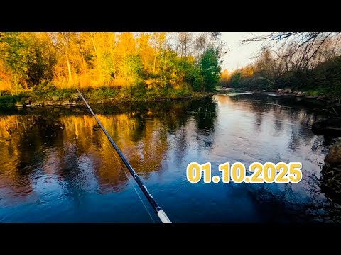 Видео: РЫБАЛКА НА СПИННИНГ В НАЧАЛЕ ОКТЯБРЯ.КРАСИВАЯ РЕКА,ХОРОШАЯ ПОГОДА.ЧТО ЕЩЕ НАДО ДЛЯ УДОВОЛЬСТВИЯ.