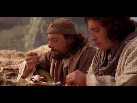 Видео: Паси овец Моих