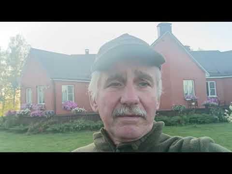 Видео: Голосуйте за нас!