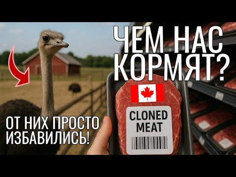 Видео: В Канаде кормят КЛОНАМИ ИЗ ЛАБОРАТОРИИ? Правда, которую СКРЫВАЮТ от нас!
