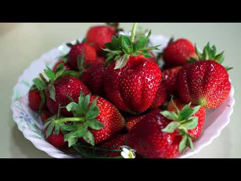 Видео: Обзор ягод  Азия и Купчиха