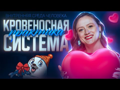 Видео: Внутренняя среда. Кровеносная система человека | ЕГЭ-2025 по биологии