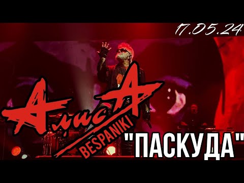 Видео: 17.05.24 - АлисА - "Паскуда" - Чёрная метка ХХХ лет - Москва - VK Stadium