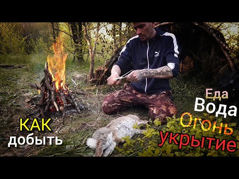 Видео: ВЫЖИТЬ В ЛЕСУ. МЕТОДОЛОГИЯ ВЫЖИВАНИЯ