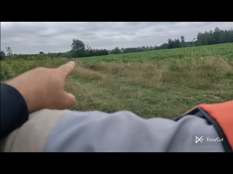 Видео: Стріляю на 100м. Продовження