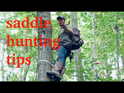 Видео: 5 способов улучшить настройку седла