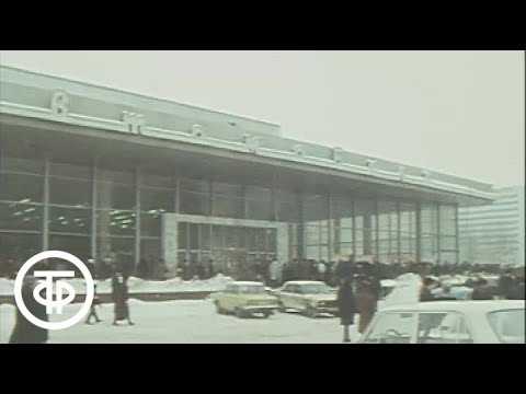 Видео: Страсти вокруг "Москвичей". Добрый вечер, Москва! Эфир 29.02.1988