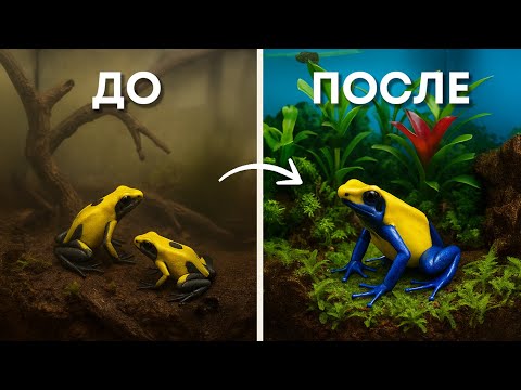 Видео: Имитировала Джунгли дома 400 и 4000 дней и вот что стало с Лягушкой!
