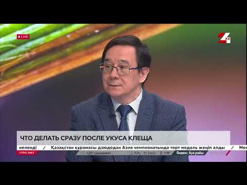 Видео: Что делать сразу после укуса клеща. Альберт Аскаров