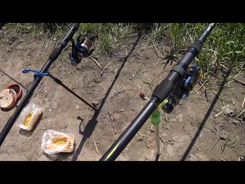 Видео: ЛОВИМ ПЛОТВУ НА МАКУШАТНИК, ГОРОХ, ЧЕРВЯ. ВСПОМИНАЯ ЛЕТО ПРОШЛОГО ГОДА.