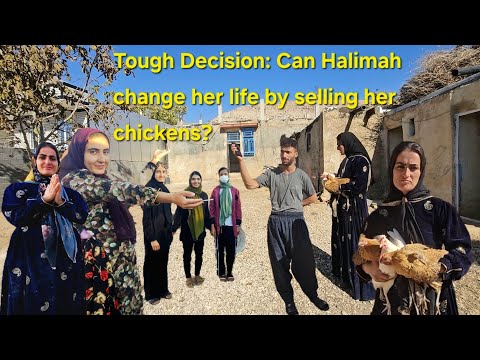 Видео: Наконец-то! Сообщество объединилось, чтобы положить конец бездомности Халимы.