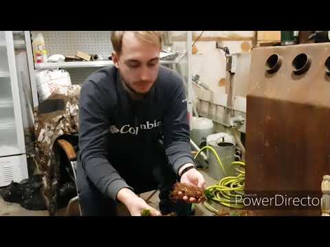 Видео: // ВЫСАЖИВАЮ КЛУБНИКУ 6 ЯНВАРЯ //