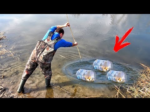 Видео: ЛОВЛЯ РАКОВ как в СССР!!! ЛОВУШКИ и ХЛЕБ с ЧЕСНОКОМ!!! РАКОЛОВКА за 5 МИНУТ