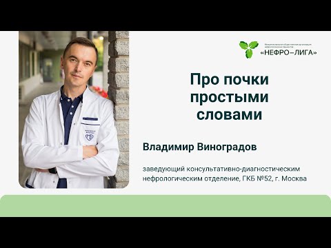 Видео: Про почки простыми словами