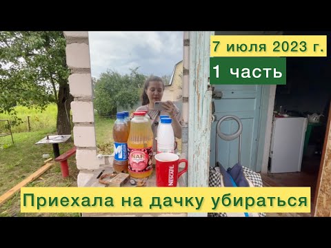 Видео: Приехала на дачку убираться