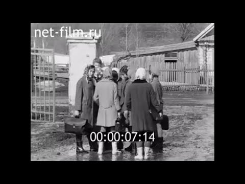 Видео: 1970г. Кокушкино сегодня. Пестречинский район Татарстан