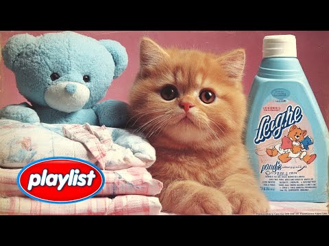 Видео: 𝗽𝗹𝗮𝘆𝗹𝗶𝘀𝘁[cafe]🎧 10 часов уютной чилл-музыки | Стирка окончена!🌿 | Cozy Indie Pop