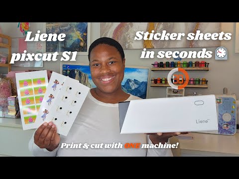 Видео: Думаю, каждому малому бизнесу это нужно! | Принтер и резак для наклеек Liene Pixcut S1 🖨