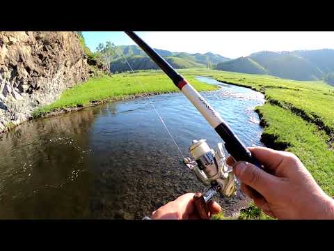 Видео: Рыбный ручей! Ловля хариуса и ленка на удочку!_#21