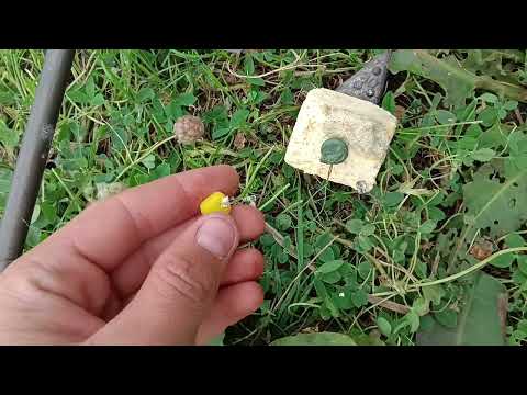 Видео: Рыбалка на макушатник карпа.
